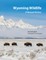 Wyoming Wildlife