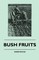 Bush Fruits