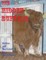 The Hidden Buffalo