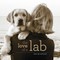The Love of a Lab
