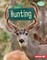 Deer Hunting