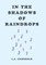 In the Shadows of Raindrops