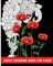 Adult Coloring Book 100 Pages