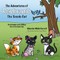 The Adventures of Rembrandt the Tuxedo Cat