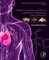 Metabolic Disorders and Shen in Integrative Cardiovascular Chinese Medicine