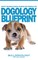 Puppy Training Guide