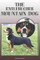 The Entlebucher Mountain Dog