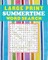 Large Print Summertime Word Search