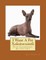 I Want A Pet Xoloitzcuintli