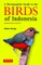 The Photographic Guide to the Birds of Indonesia