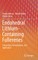 Endohedral Lithium-Containing Fullerenes