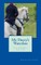 Mr Darcy's Waterloo