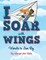 I Soar with Wings