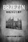 Brzezin Memorial Book
