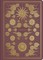 ESV Illuminated Scripture Journal: Joshua