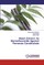 Neem Extract