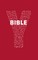 Youcat Bible