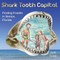 Shark Tooth Capital