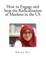 How to Engage and Stop the Radicalization of Muslims in the US