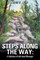 Steps Along the Way