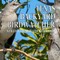 Texas Backyard Birdwatcher