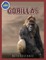 Gorilla Activity Workbook ages 4-8