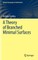 A Theory of Branched Minimal Surfaces