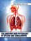 Anatomy and Physiology of Speech and Swallowing