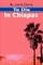 To Die in Chiapas