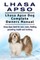 Lhasa Apso. Lhasa Apso Dog Complete Owners Manual. Lhasa Apso book for care, costs, feeding, grooming, health and training.