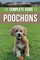 The Complete Guide to Poochons