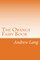 The Orange Fairy Book