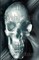 The Crystal Skulls