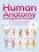 Human Anatomy Coloring Book for Kids