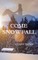 Come Snowfall
