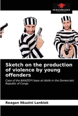 Sketch on the production of violence by young offenders Sketch on the production of violence by young offenders