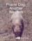 Prairie Dog, Another Western