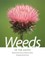 Weeds of the South