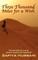 Three Thousand Miles for a Wish - a novel on the Muslim Hajj