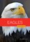 Eagles