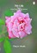 My Life Book 4