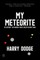 My Meteorite
