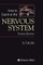 How to Examine the Nervous System