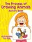 The Process of Drawing Animals Activity Book