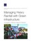 Managing Heavy Rainfall with Green Infrastructure