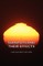 Sunspots and Their Effects
