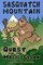 Sasquatch Mountain