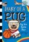 Pug the Sports Star: A Branches Book (Diary of a Pug #11)