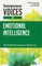 Entrepreneur Voices on Emotional Intelligence