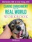 Canine Enrichment for the Real World Workbook